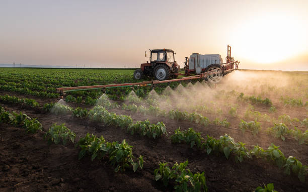 Best Pest Prevention Services  in Marlin, TX
