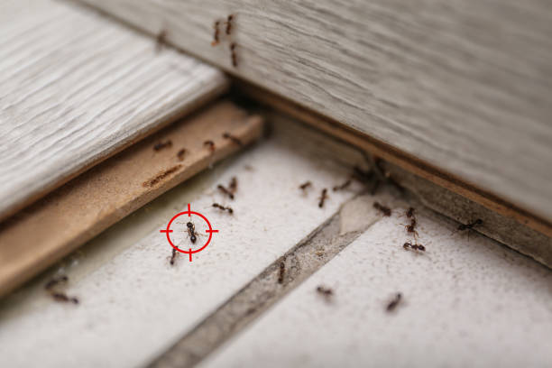 Best Exterminator Services  in Marlin, TX