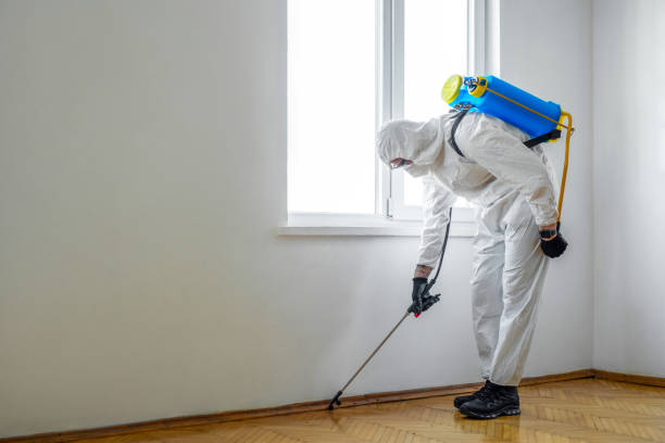Best Pest Inspection Near Me  in Marlin, TX